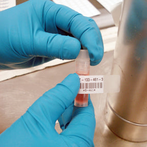 062255 - Etichette per laboratori in poliestere BMP71 BMP61 ROTOLO DA 500 ETICHETTE