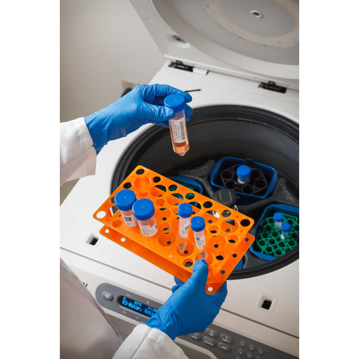 062359 - Etichette per laboratori in poliestere autolaminanti core 76 mm ROTOLO DA 3000 ETICHETTE