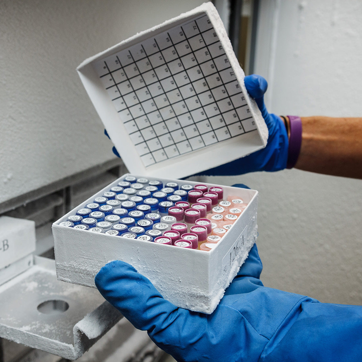 062273 - Etichette per identificazione di fiale e provette di laboratorio in tessuto in nylon BMP71 BMP61 ROTOLO DA 500 ETICHETTE