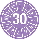 Etichette antimanomissione con data di ispezione Anno 30